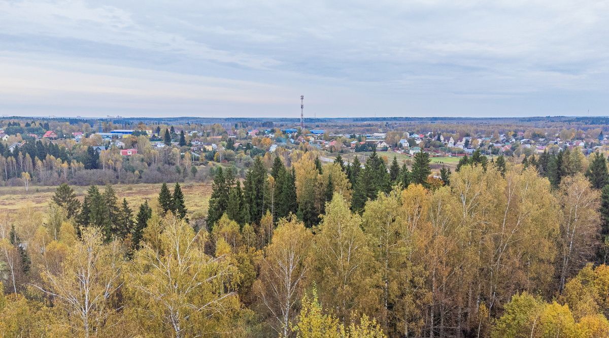 офис городской округ Солнечногорск д Судниково фото 7