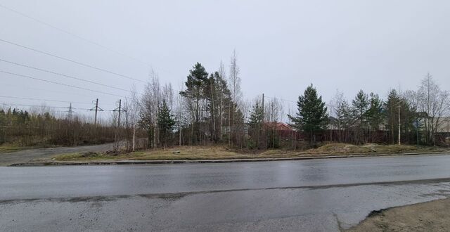 р-н Древлянка Древлянка ул Хейкконена фото