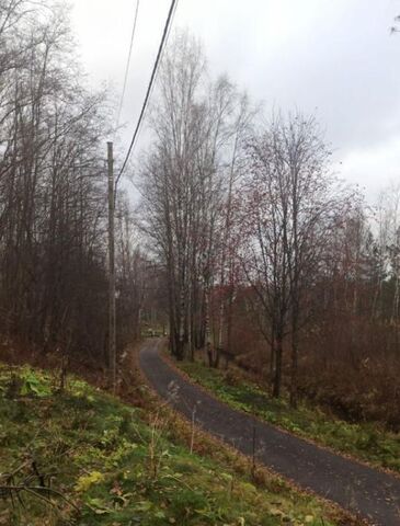 ул Весенняя 5а Бугровское городское поселение, Парнас фото