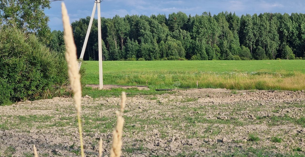 земля г Санкт-Петербург п Левашово Горское шоссе, 9727 км, коттеджный посёлок Про Левашово фото 5