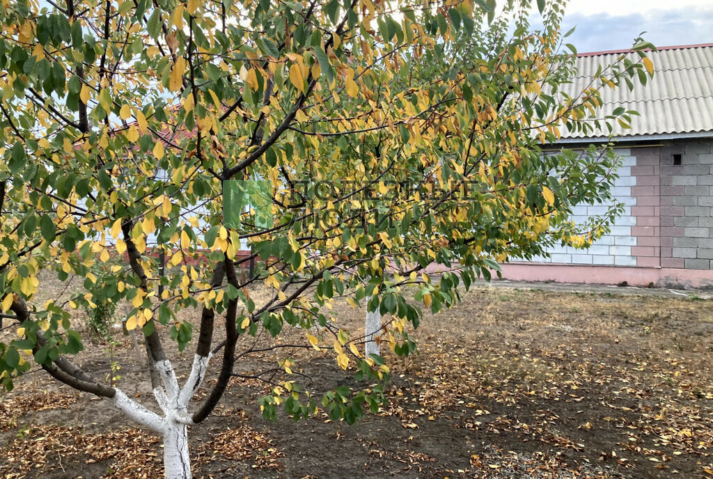 дом р-н Белгородский с Беловское Беловское сельское поселение фото 5