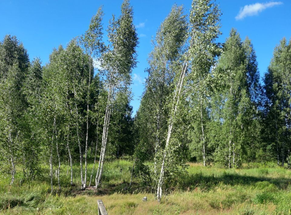 дом р-н Ковернинский Бор городской округ, д. Лунино фото 24