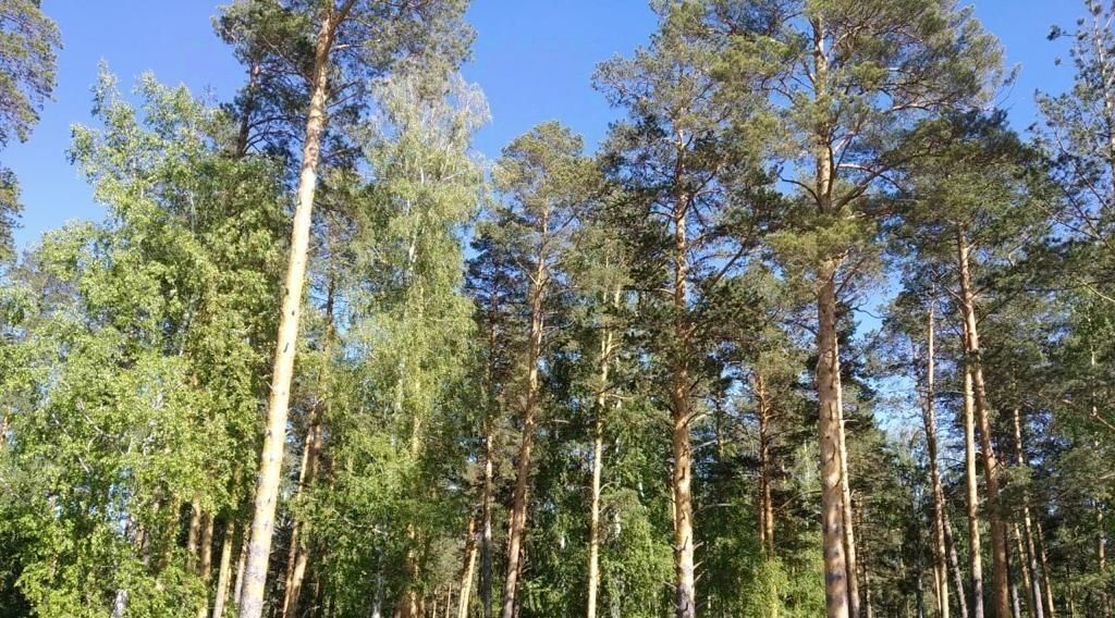 квартира г Заречный ул Олимпийская 3а Солнечный кп фото 19