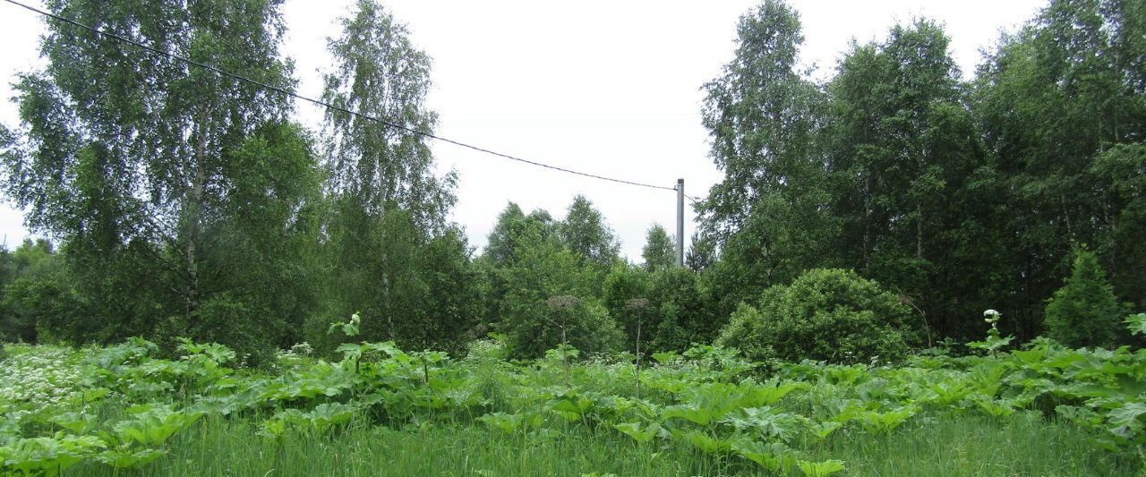 офис городской округ Рузский д Лобково фото 1