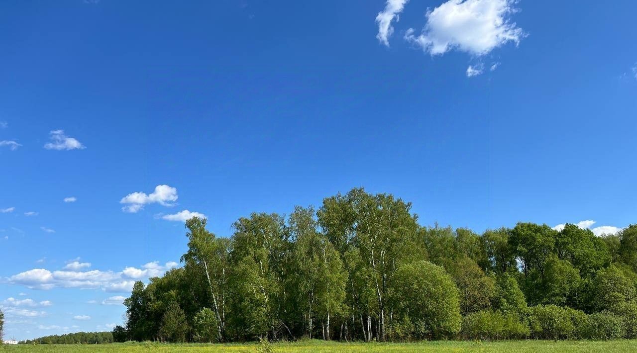 земля городской округ Серпухов д Гавшино фото 12