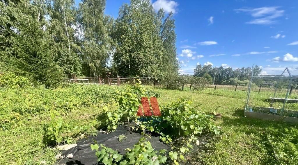 земля городской округ Пушкинский д Талицы 97 фото 2