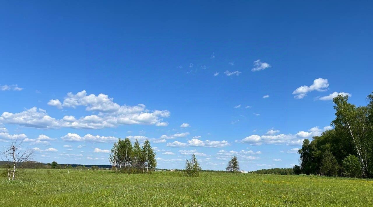 земля городской округ Серпухов д Гавшино фото 25