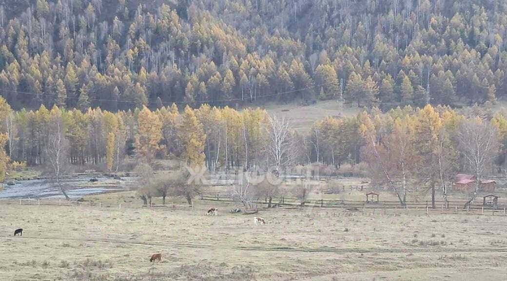 земля р-н Онгудайский с Онгудай ул Энергетиков фото 9