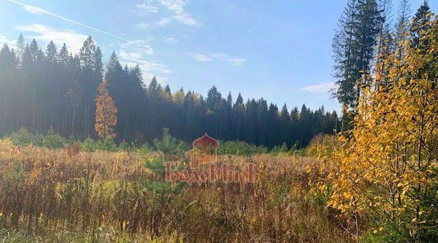 земля городской округ Сергиево-Посадский д Стройково снт Калабино фото 18