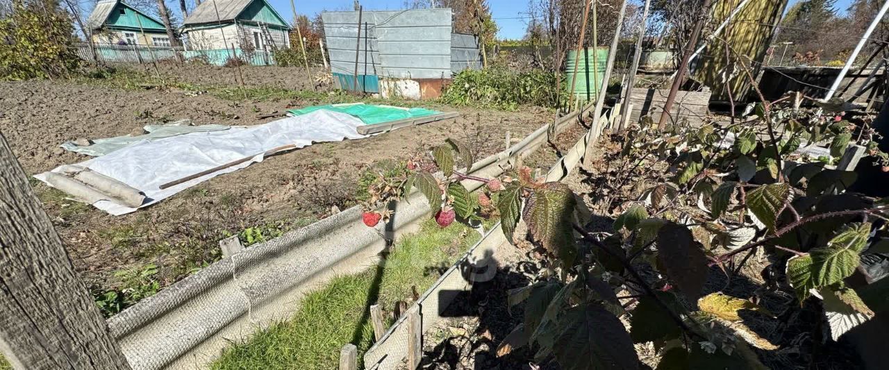 земля г Арсеньев ул Докучаева фото 24