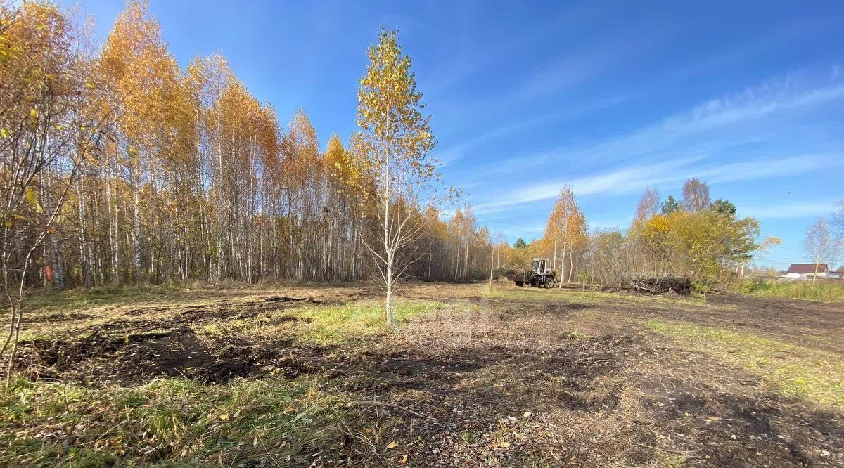 земля р-н Кемеровский с Андреевка ул Туманная фото 4