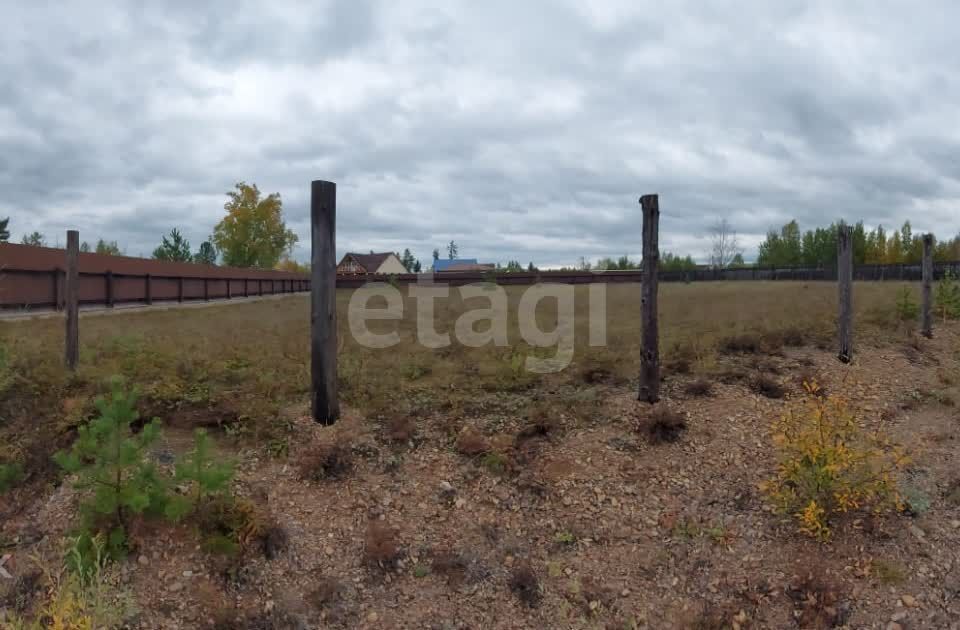 земля р-н Читинский ДНТ Шишкино-Остров фото 2