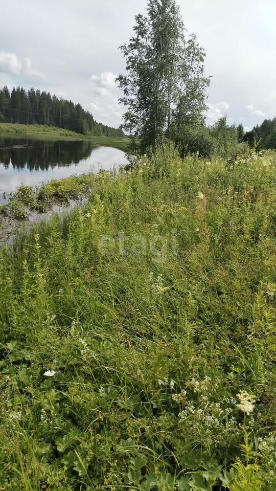 земля р-н Плесецкий п Самодед ул Кирова 15 Обозерский фото 1
