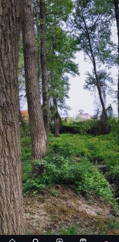 Благородная ул., 47 фото