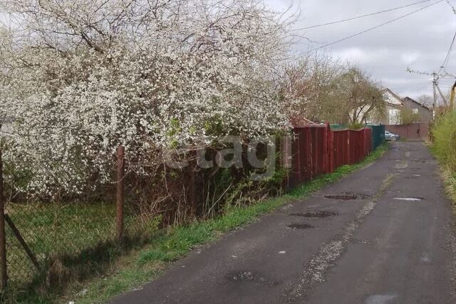 р-н Центральный городской округ Калининград, Лейтенанта Катина, 98 фото