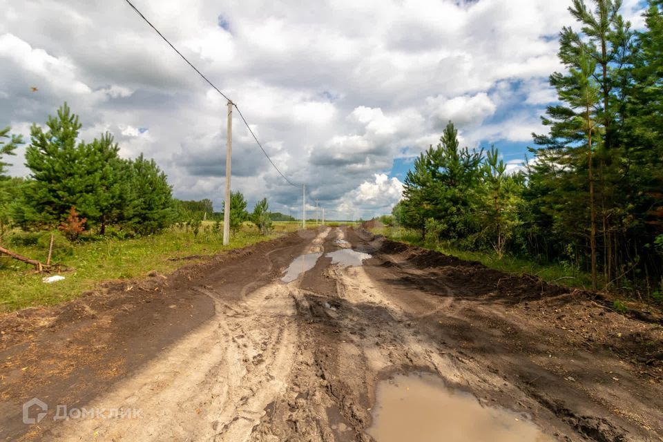 земля р-н Нижнетавдинский д Московка 2-я линия фото 3