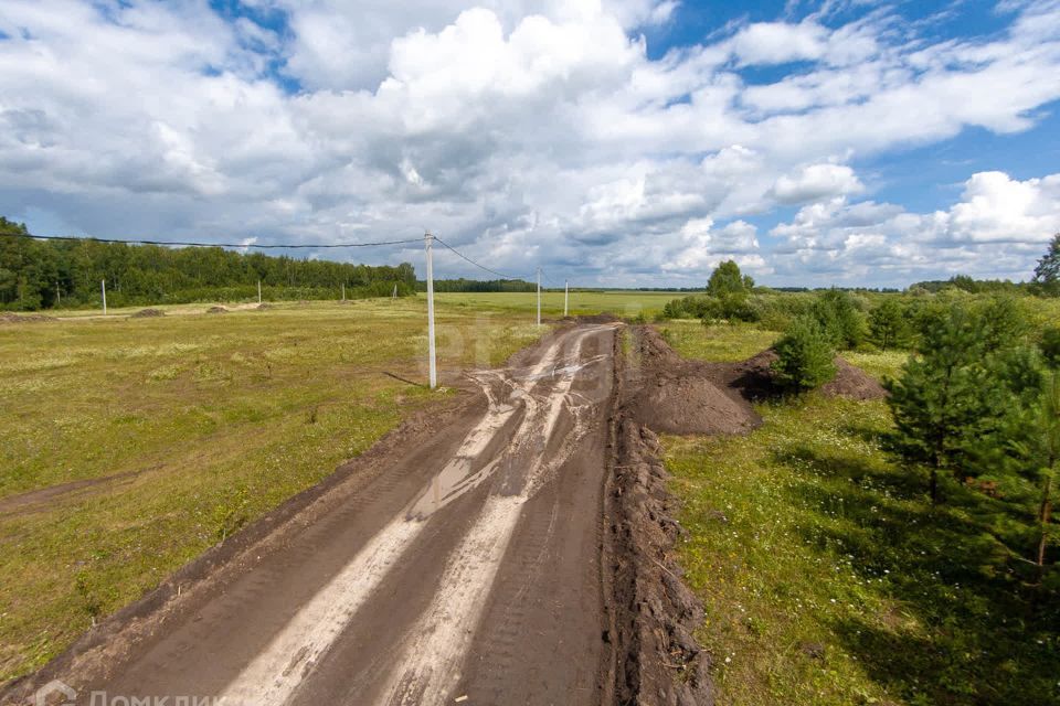 земля р-н Нижнетавдинский д Московка 2-я линия фото 9