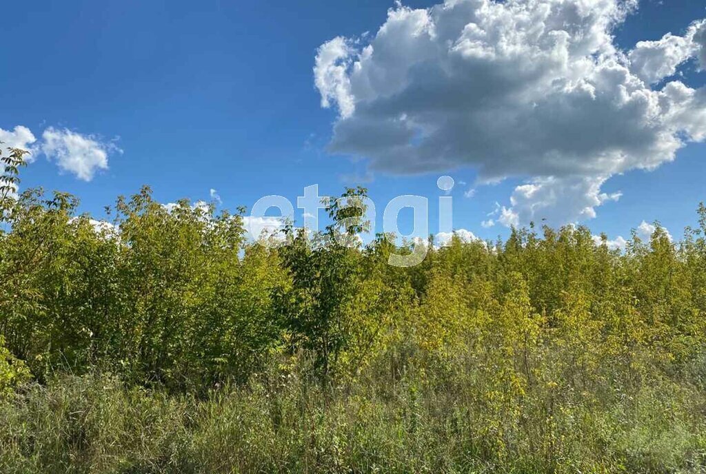 земля г Барнаул п Бельмесево ул Плодородная фото 2