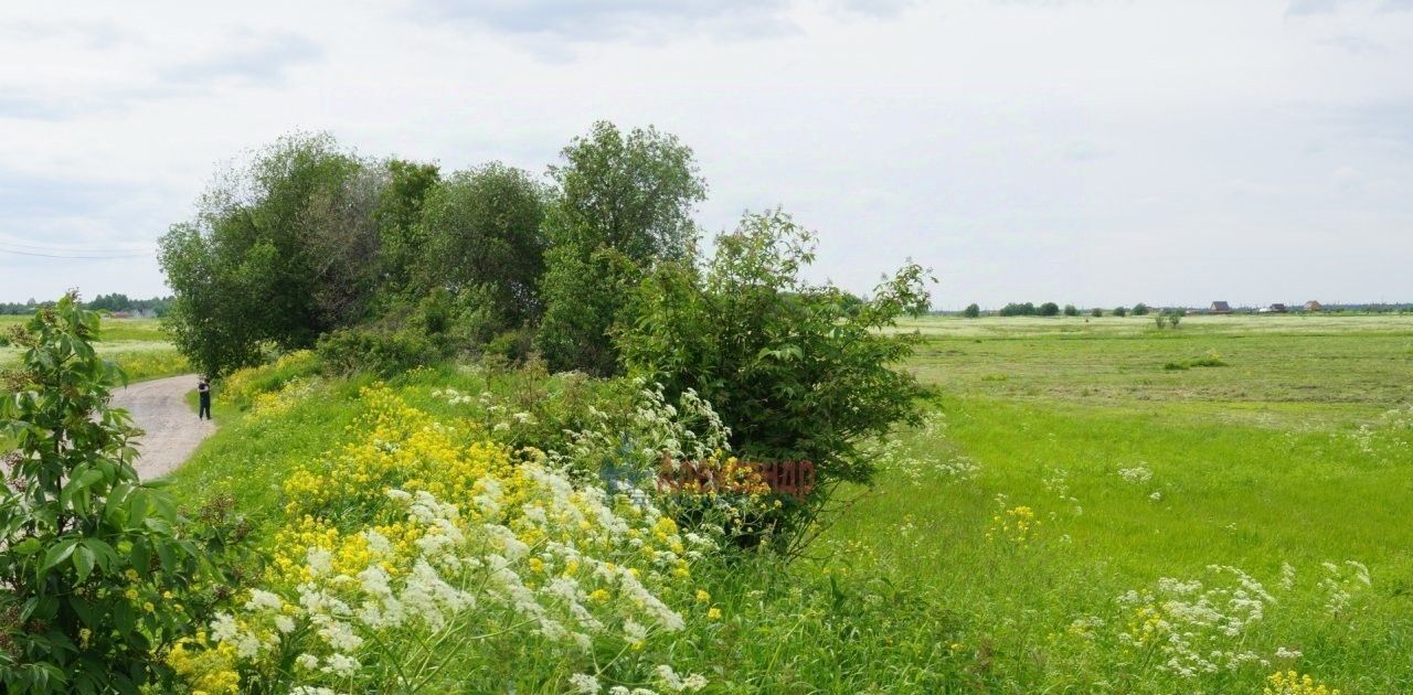 земля р-н Ломоносовский д Заостровье Лопухинское с/пос, Беговая фото 23