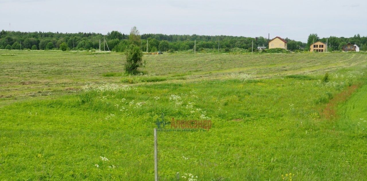 земля р-н Ломоносовский д Заостровье Лопухинское с/пос, Беговая фото 21