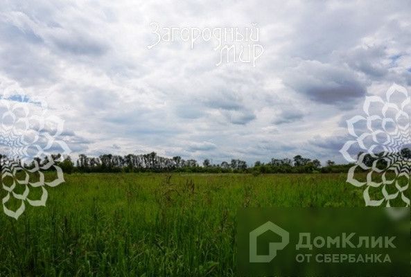 земля городской округ Раменский территориальное управление Рыболовское фото 6