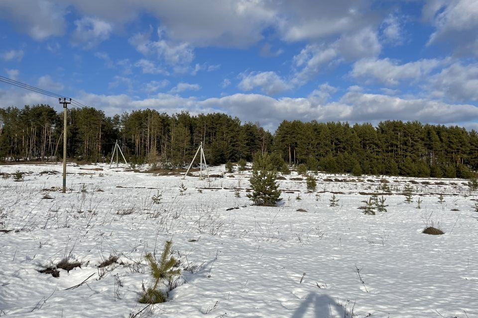 земля городской округ Серпухов деревня Дракино фото 10