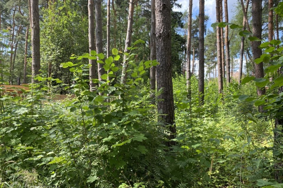 земля городской округ Одинцовский ручей-3, Лесной фото 4