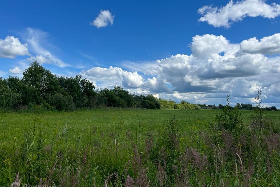 земля городской округ Клин село Спас-Заулок фото 5