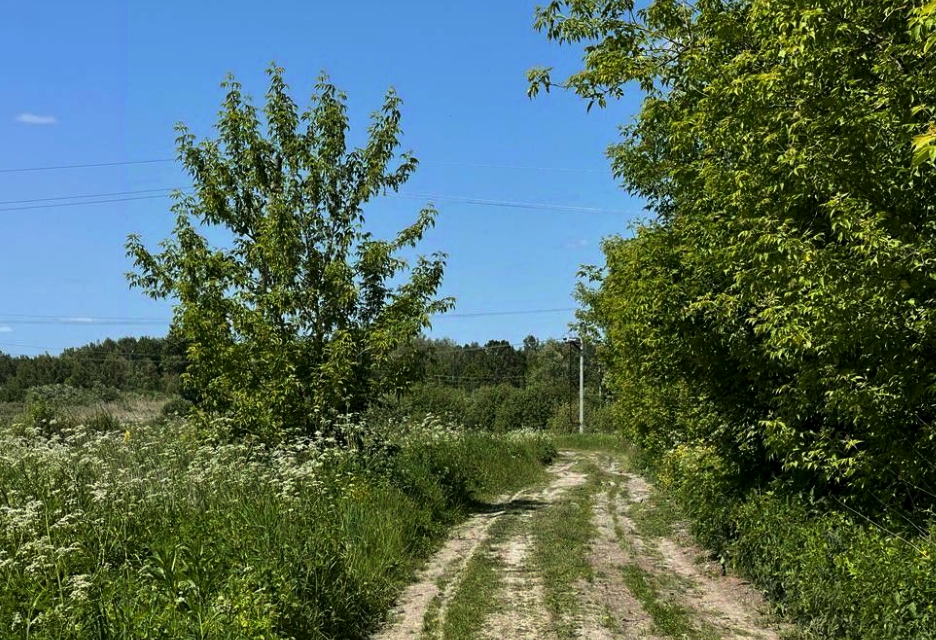 земля городской округ Раменский некоммерческое партнёрство Одуванчик фото 10