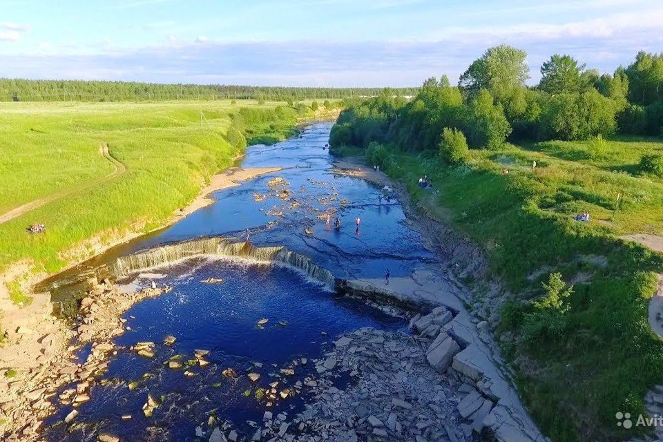 земля р-н Тосненский Весна фото 2