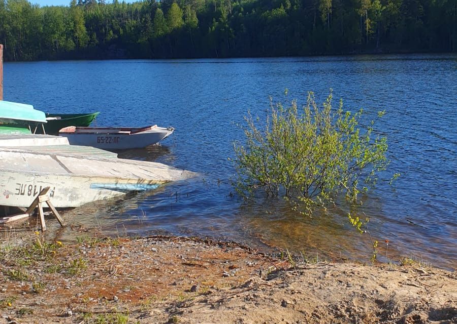 земля р-н Выборгский г Каменногорск СНТ Горняк фото 5