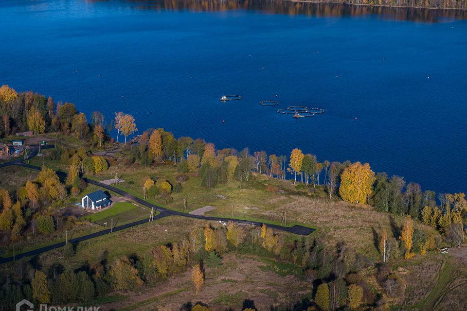 земля р-н Приозерский фото 8