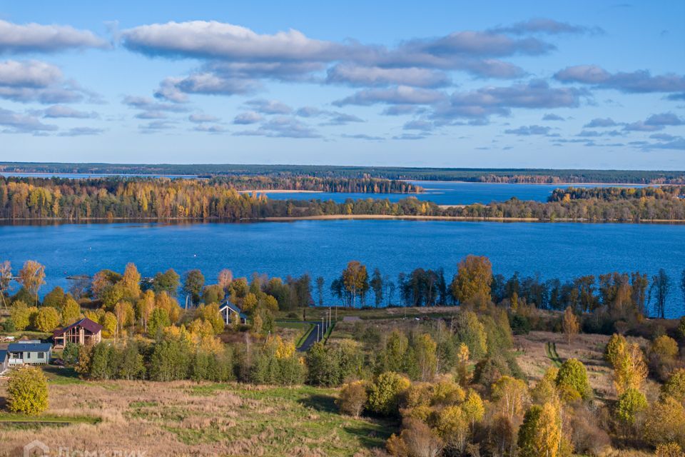 земля р-н Приозерский фото 7