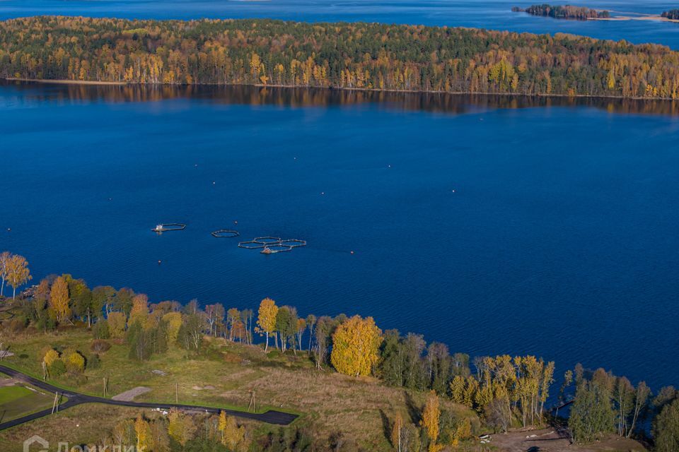 земля р-н Приозерский фото 10