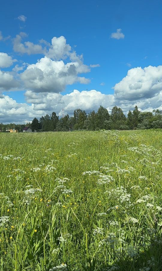 земля р-н Выборгский п Красносельское Трасса Сортавала, 9801 км, 41К-024 фото 38