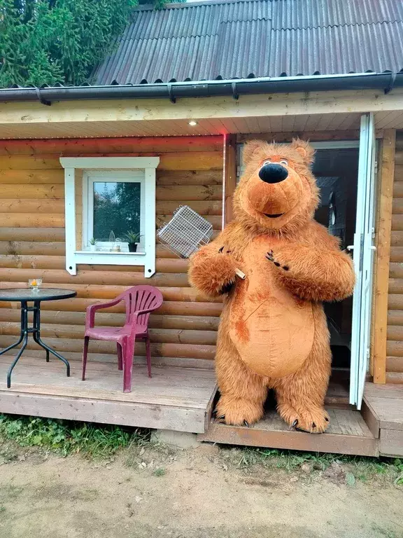 дом р-н Всеволожский массив Грузино снт Ветеран 1-я улица, 20, Куйвози фото 28