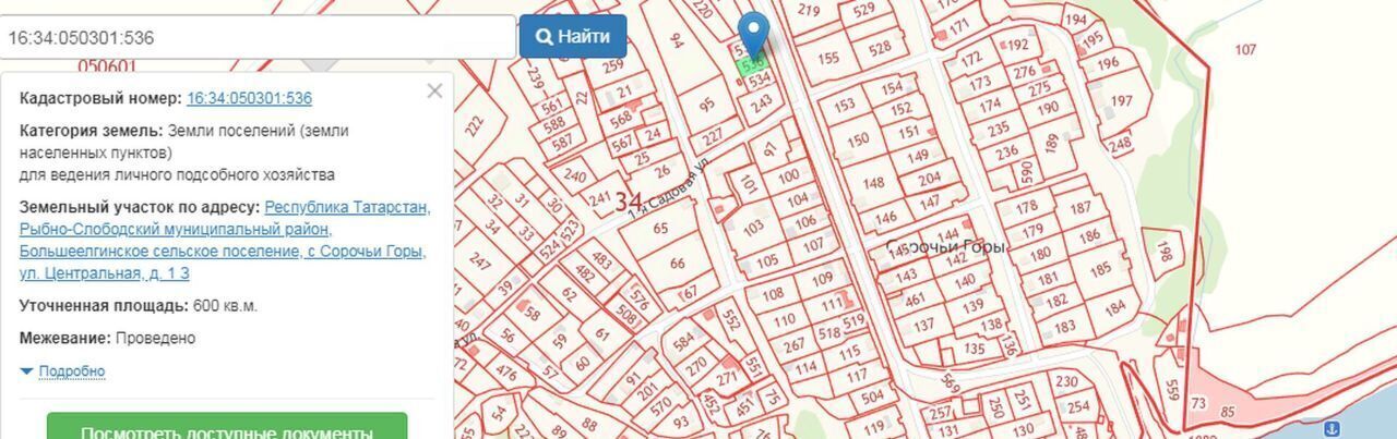 земля р-н Рыбно-Слободский с Сорочьи Горы ул Центральная 1з Большеелгинское с/пос фото 12