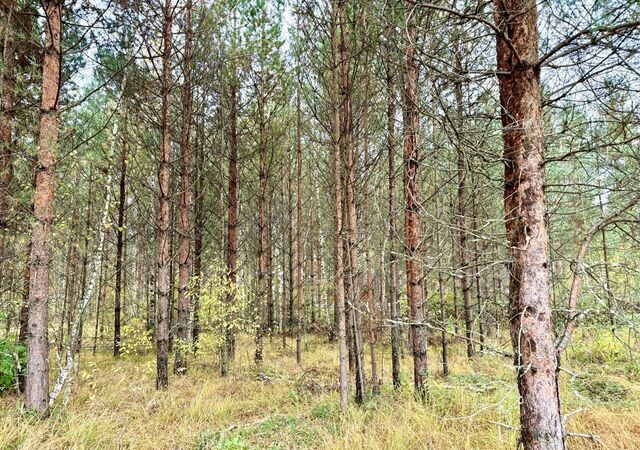 р-н Переславский с Купанское ул Железнодорожная 2-я Переславль-Залесский фото