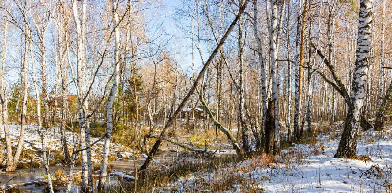 земля р-н Тюменский с Перевалово ул Сиреневая фото 28