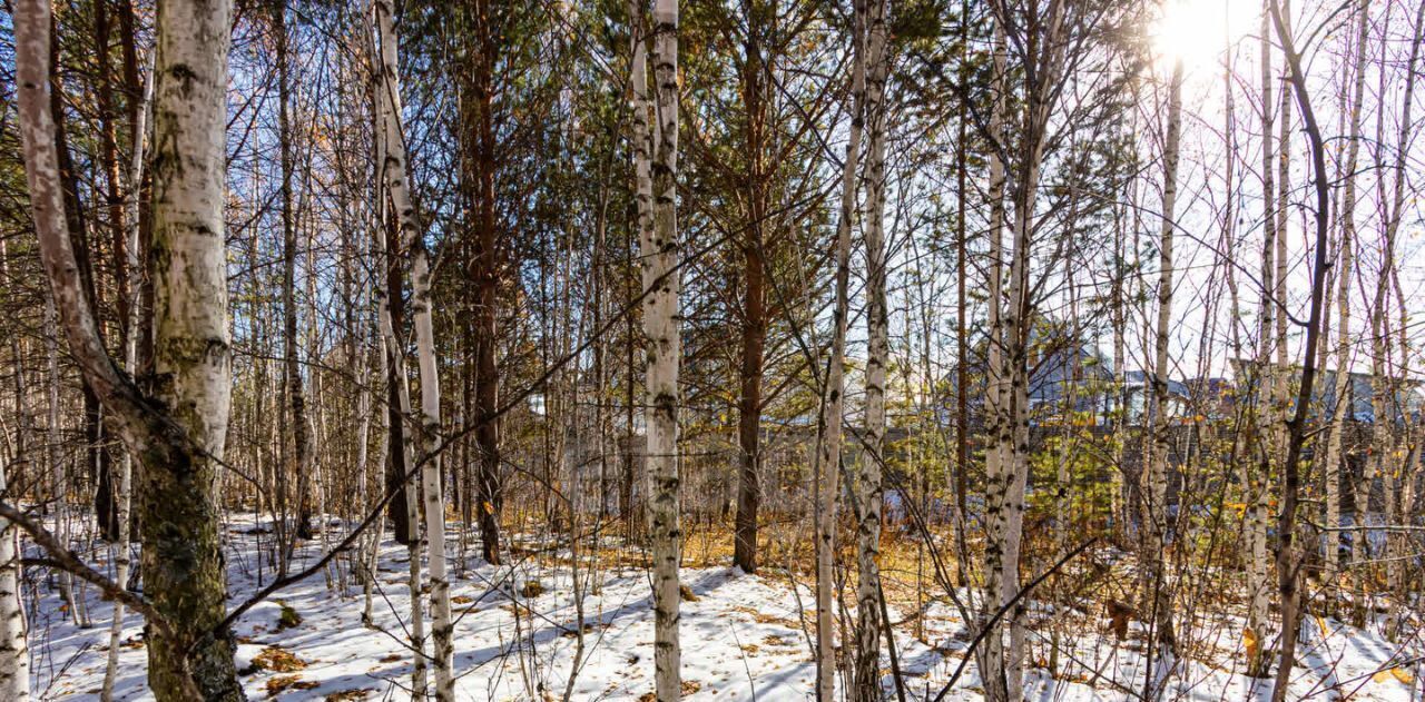 земля р-н Тюменский с Перевалово ул Сиреневая фото 12