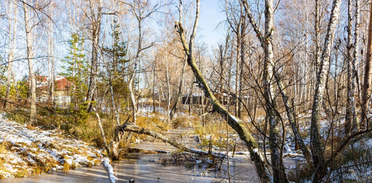 земля р-н Тюменский с Перевалово ул Сиреневая фото 26