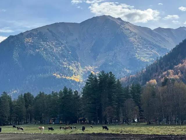 Белая улица, б/н фото