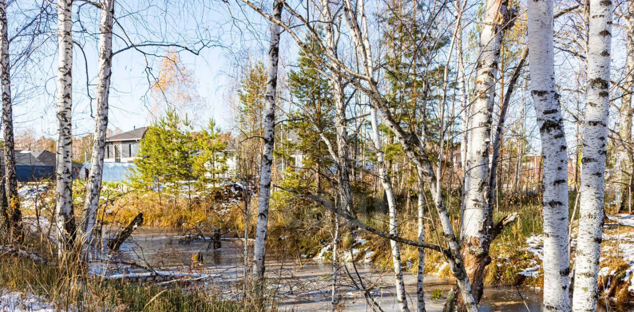 земля р-н Тюменский с Перевалово ул Сиреневая фото 22