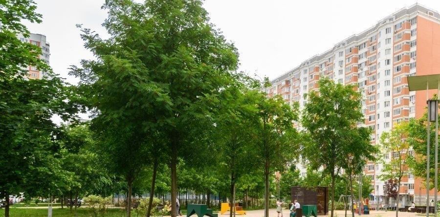 квартира г Москва метро Рассказовка Московский г., ул. Бианки, 12к 1 фото 27