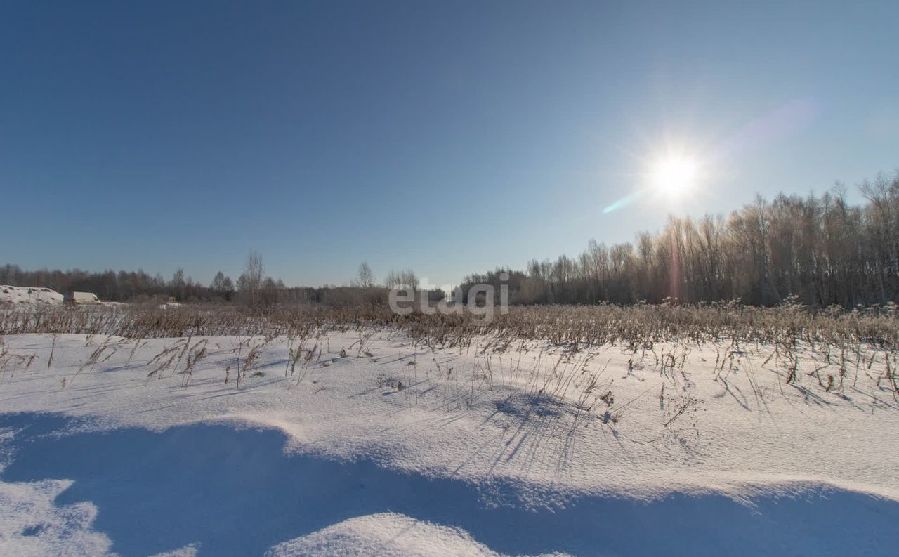 земля р-н Нижнетавдинский снт Нерда Тюмень фото 5