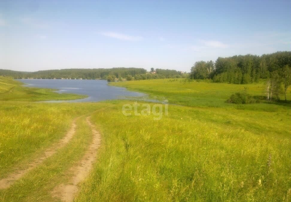 земля р-н Мошковский с Сокур Сокурский сельсовет фото 14