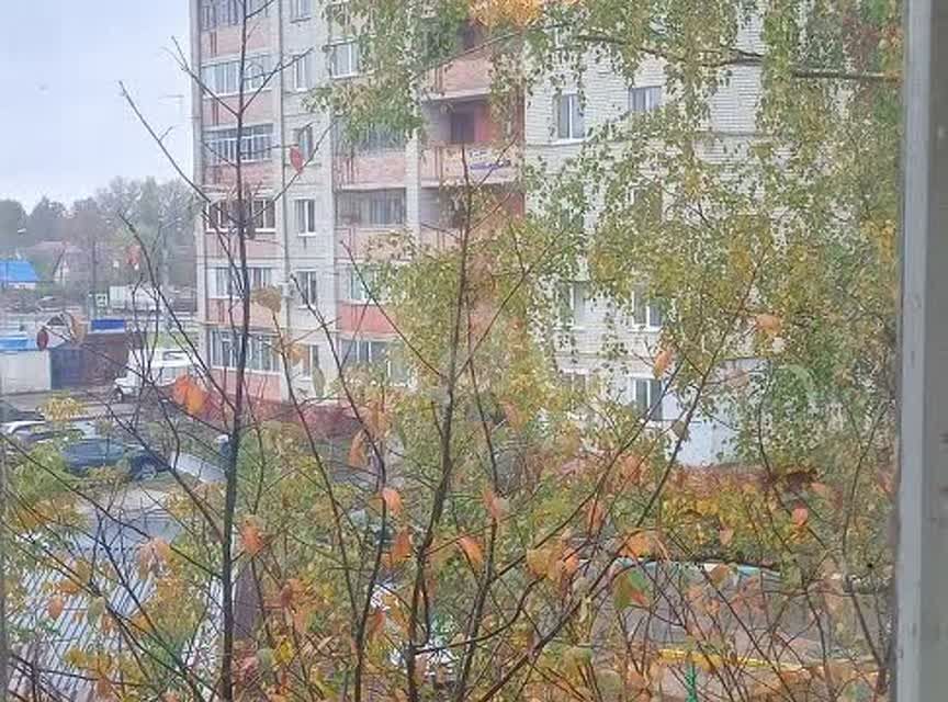 квартира г Брянск ул Дружбы 2 Брянск городской округ фото 2