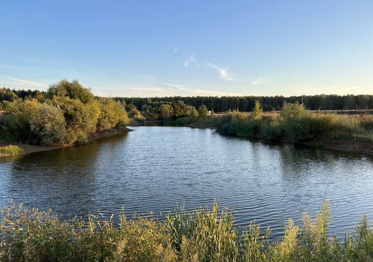 земля городской округ Рузский д Строганка 9793 км, Дорохово, Минское шоссе фото 2