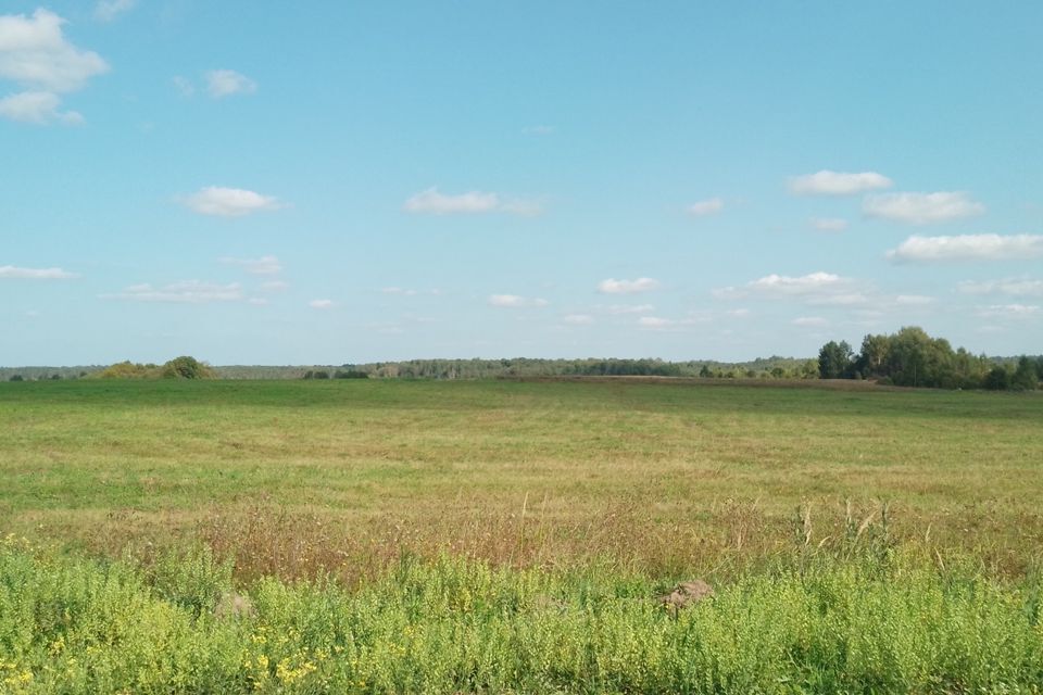 земля городской округ Переславль-Залесский, село Фалелеево фото 1