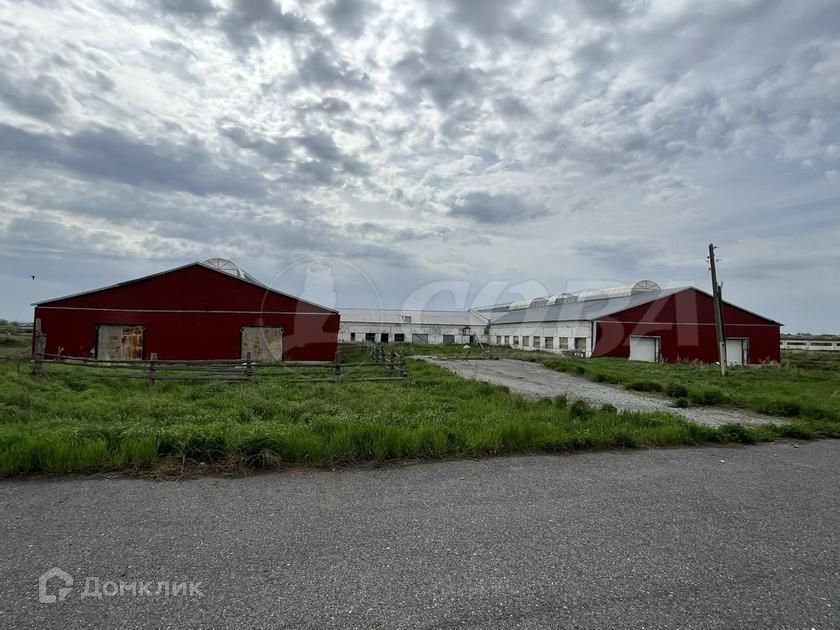 земля р-н Исетский село Верхнебешкиль фото 3